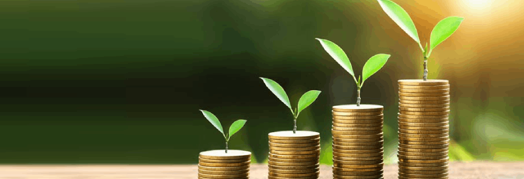 Mutual Fund